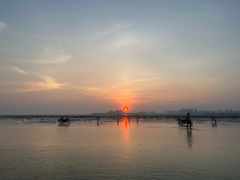 -红树林天天赶海