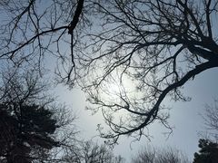 -北京西山国家森林公园