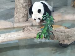 -南宁市动物园