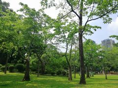 -晓港公园