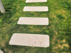 -昆山城市生态森林公园