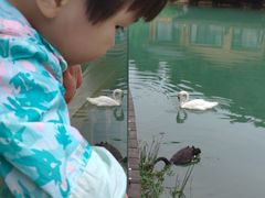 -杭州开元森泊度假乐园