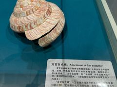 -青岛贝壳博物馆