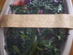 -油梨树 AVOCADO TREE(亮马桥店)