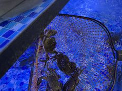 -七的湖·晚芳亭·阳澄湖农家菜·大闸蟹(莲花岛店)