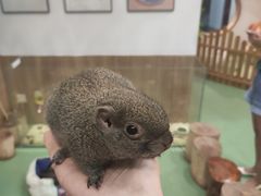 -藦茜花园宠物主题亲子互动体验馆(国顺东路店)