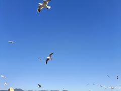-海埂大坝