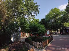 -莲花池公园