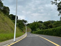 -黄埔油麻山森林公园