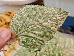 -紫藤园·天目湖大鱼头(南山竹海店)