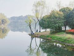 -白鹭湾湿地公园