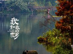 -重庆彩云湖湿地公园