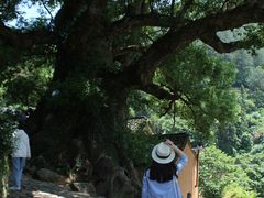 -杨家堂村