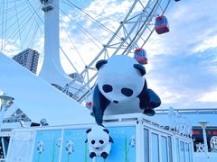 -天津之眼摩天轮