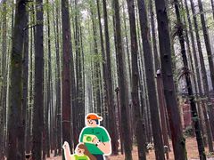-山王坪喀斯特国家生态公园