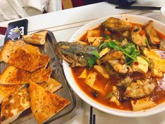 -煲来饱去冷水鱼