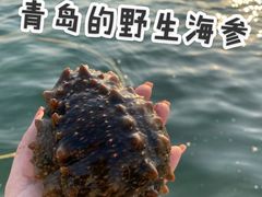 -青岛沙子口国家中心渔港