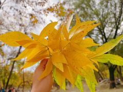 -圆明园遗址公园-藻园门售票处