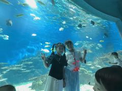 -海合安武汉极地海洋公园