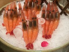 -芥末日本料理(打浦路铂尔曼旗舰店)