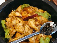 黑松露牛肝菌焖牛蛙-云海肴·汽锅鸡·云南菜(苏州中心店)
