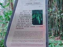 -桤木河湿地公园