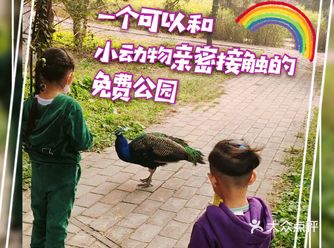 免费公园 近距离接触小动物