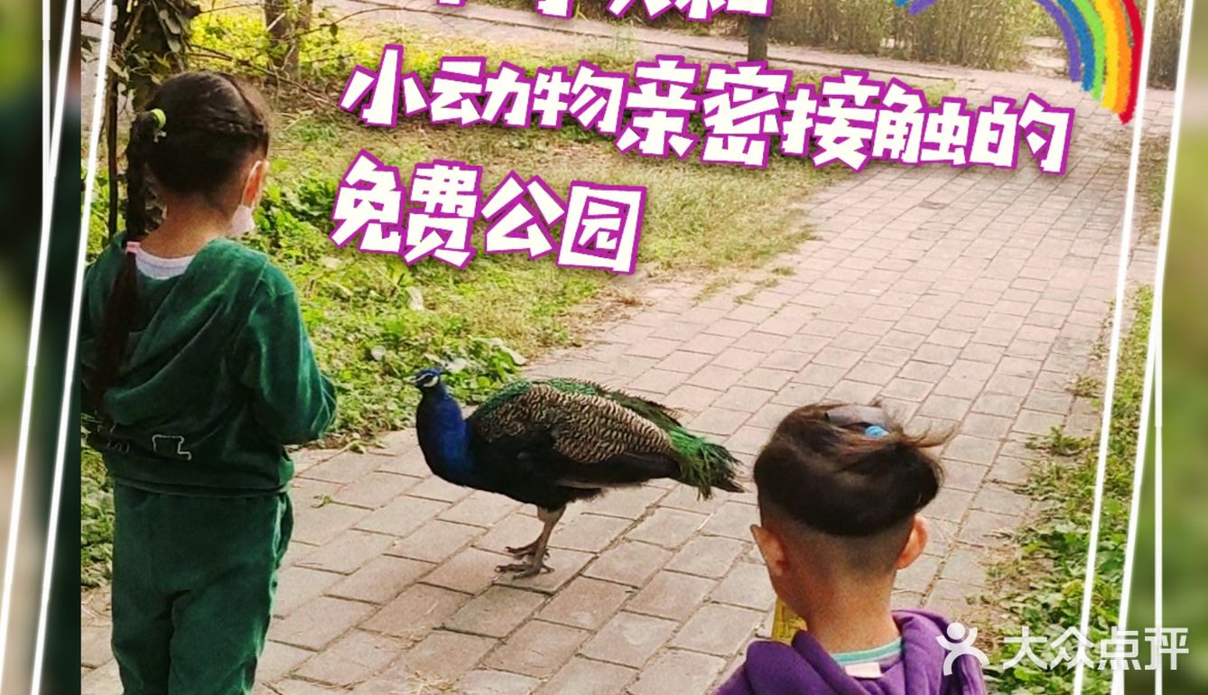 免费公园 近距离接触小动物