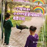 免费公园 近距离接触小动物