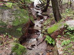 -吉林市朱雀山国家森林公园