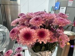 -五星桥原切肥牛火锅(怀德桥店)