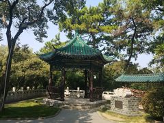 -古琴台