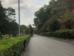 -红花湖景区