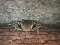 -狼山风景名胜区