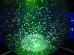-江和美海洋公园