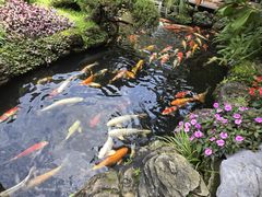 -聚福宝合苑食府(南头镇店)