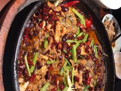 -老板恋上鱼(高新万达店)