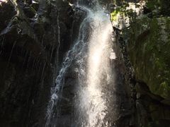 -藏龙百瀑风景区