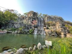 -金鸡山公园