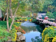 -杭州植物园