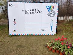 -杭州湾海上花田景区