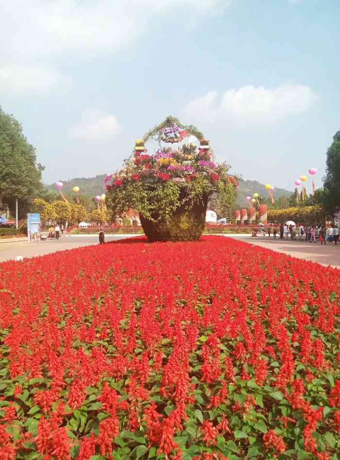 东南花都花博园