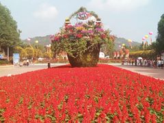 -东南花都花博园