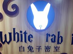 -白兔子密室(长寿路店)