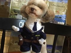 -Oh My Dog宠物沙龙(伊珊娜皮毛护理店)