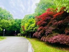 -尚湖风景区