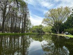 -上海共青森林公园