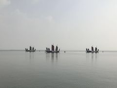 -贡湖湾湿地公园