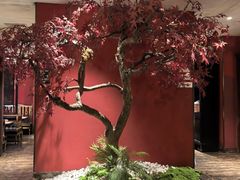 -新白鹿餐厅(银泰西湖文化广场店)