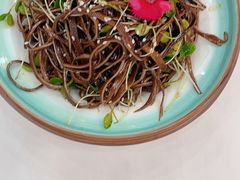 香椿苗拌黑豆皮-红菜坊·烤鸭·川鲁宴(石园店)